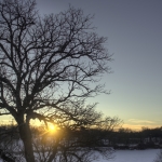Wintery 