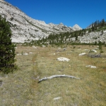 DSC04509