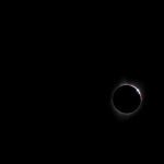 DSC_8861-2