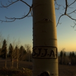 S.J.J.A.