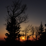 Silhouette Sunset