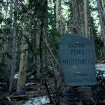 Wilderness