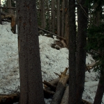 Late Snow