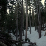 No Trail