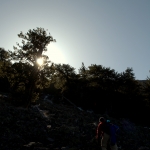 Upward