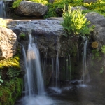 Falls